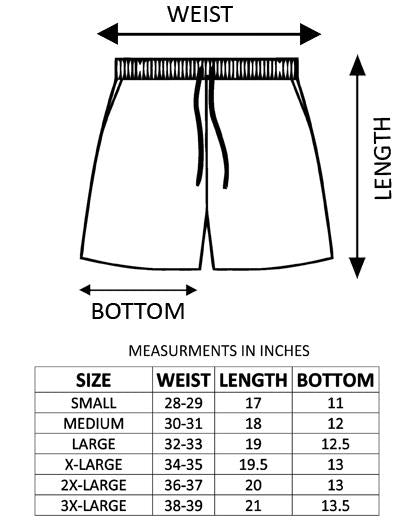 Algol 2.0 Shorts Women's Shorts