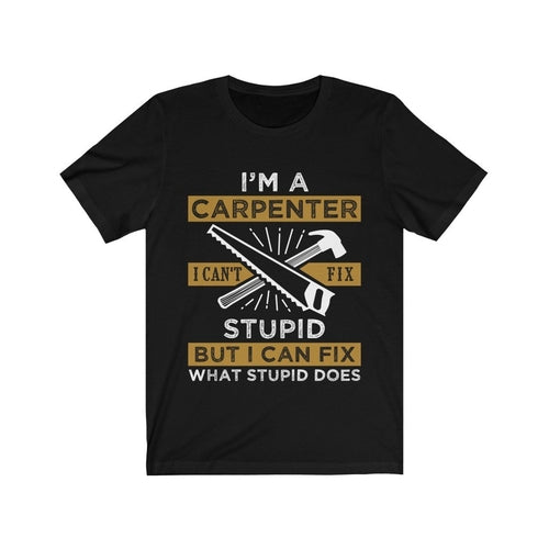 Carpenter Fix What Stupid Does