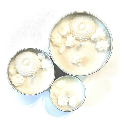 Coconut Milk & Mango Soy Candle