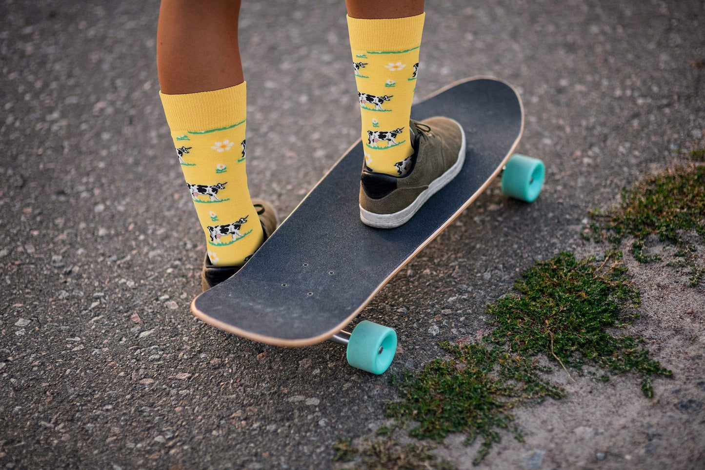 Fuchsia Thrace Socks Cute Cotton Funny Animal Socks - Cow - For Men and Women