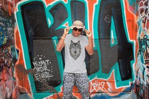 Green Lucky Men's Clothing Geometric Art Men's Wolf Tee