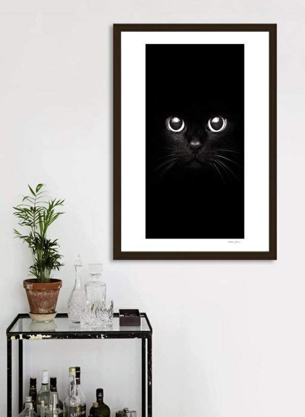 Scorpius Home Decor The Black Cat Frame
