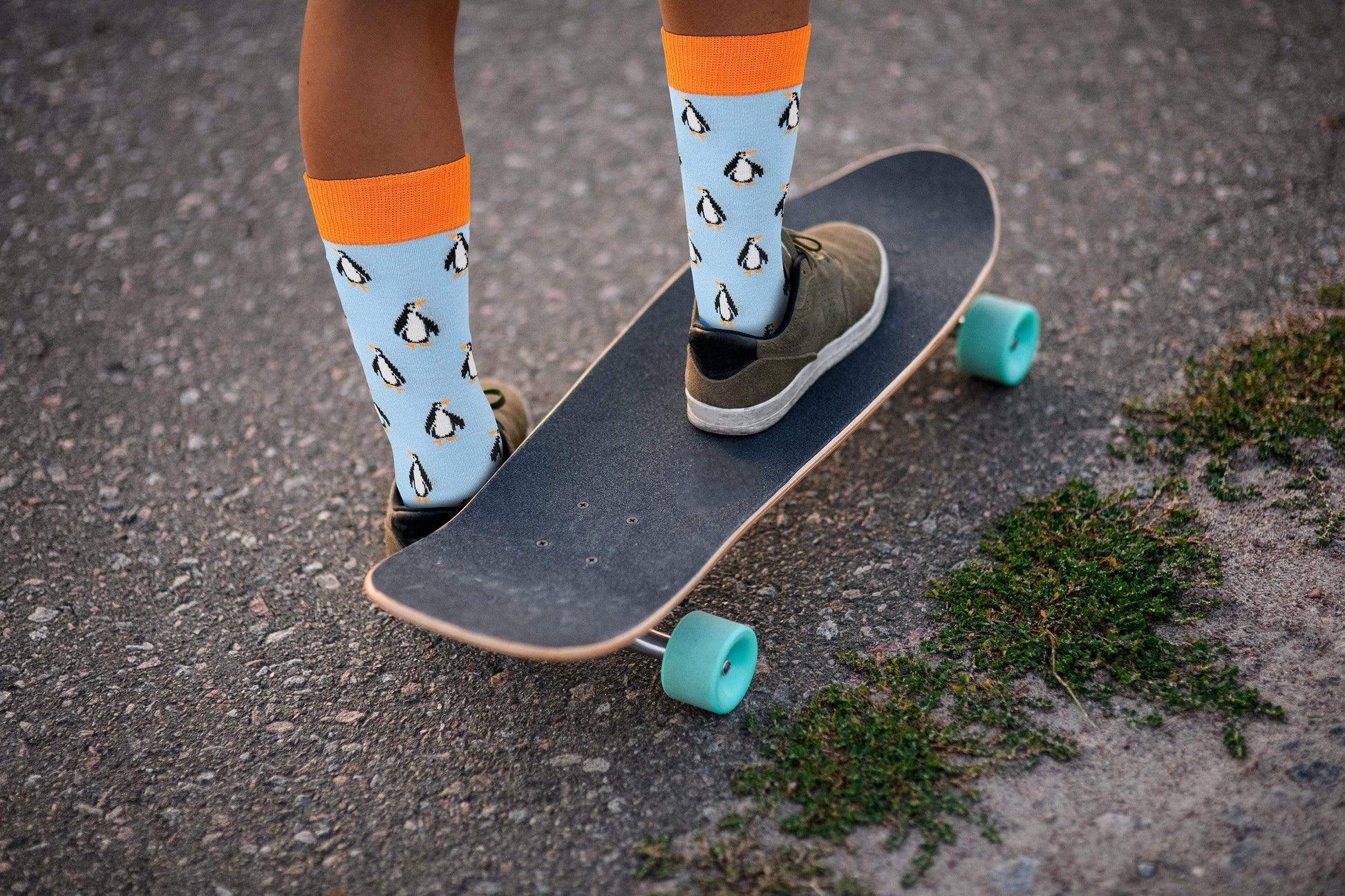 Fuchsia Thrace Socks Sick Socks - Penguin - Exotic Animals Casual Dress Socks