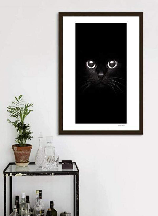 Scorpius Home Decor The Black Cat  Frame