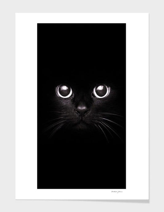 Scorpius Home Decor The Black Cat  Frame